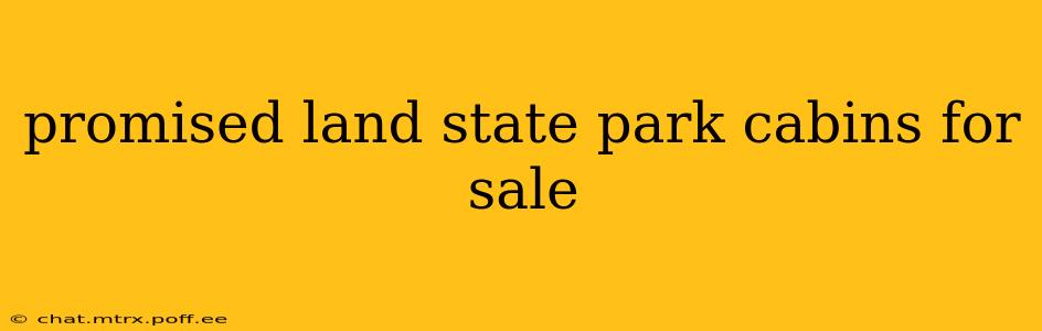 promised land state park cabins for sale