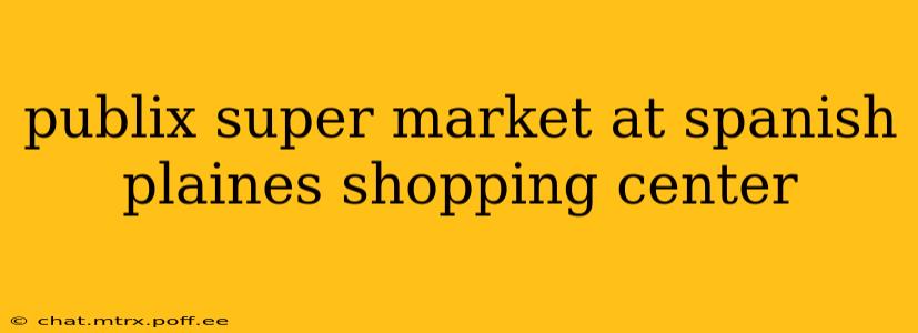 publix super market at spanish plaines shopping center