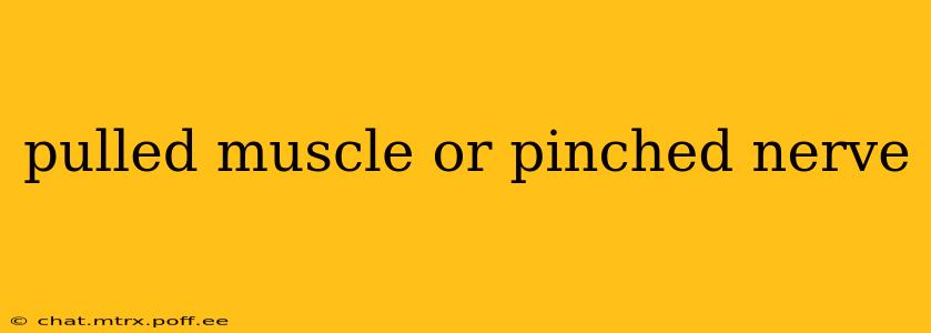 pulled muscle or pinched nerve