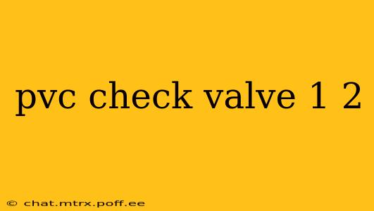 pvc check valve 1 2
