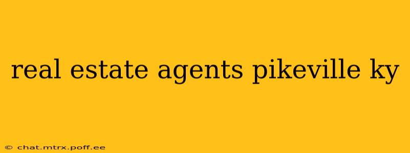 real estate agents pikeville ky