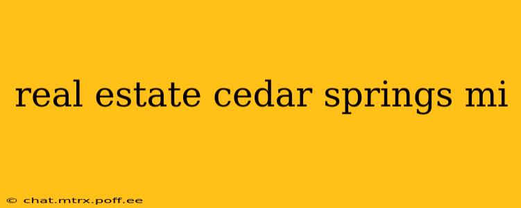 real estate cedar springs mi