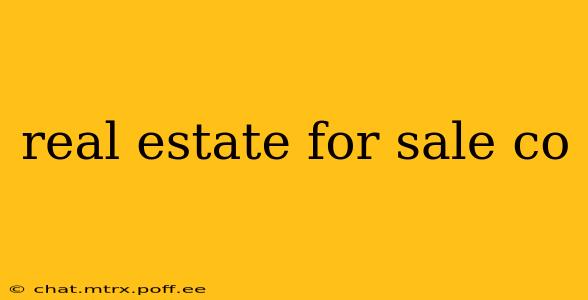 real estate for sale co