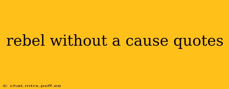 rebel without a cause quotes