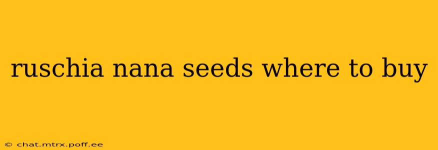 ruschia nana seeds where to buy