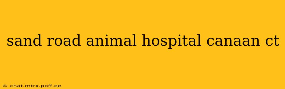 sand road animal hospital canaan ct