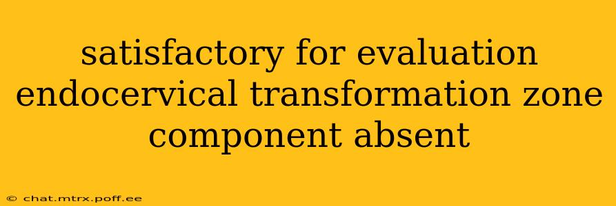 satisfactory for evaluation endocervical transformation zone component absent