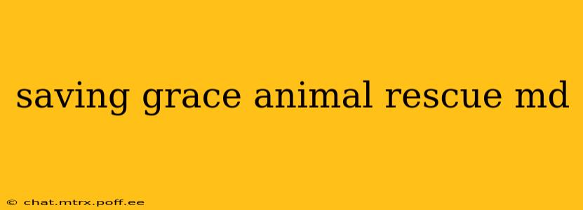 saving grace animal rescue md