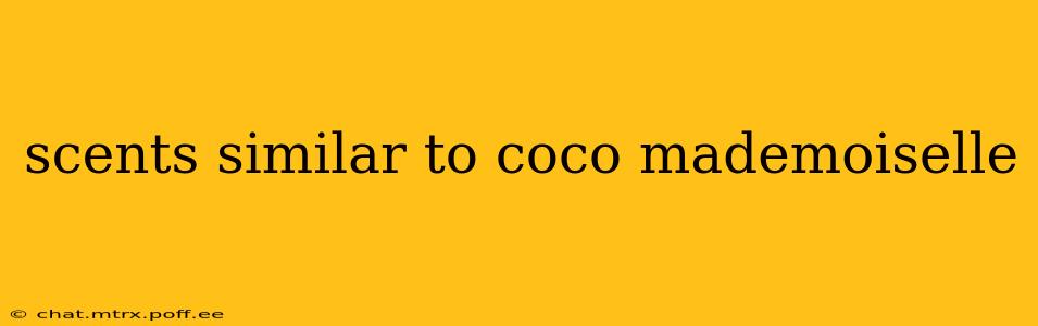 scents similar to coco mademoiselle