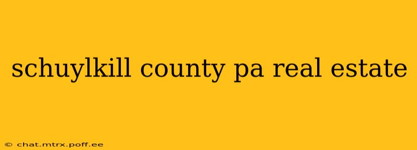 schuylkill county pa real estate