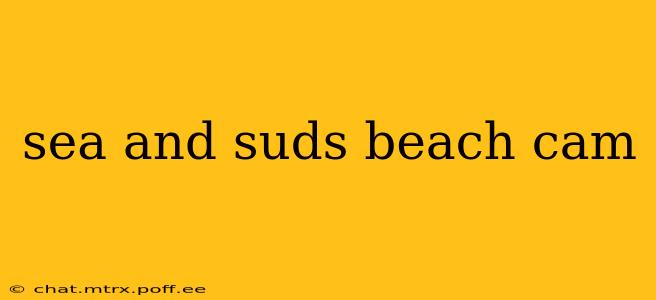 sea and suds beach cam