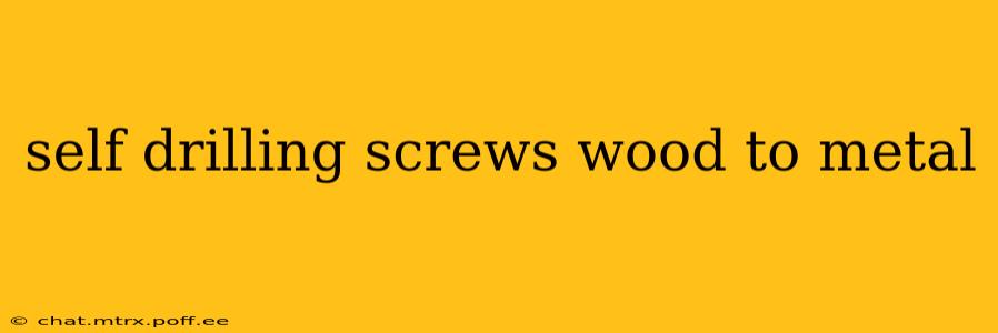 self drilling screws wood to metal