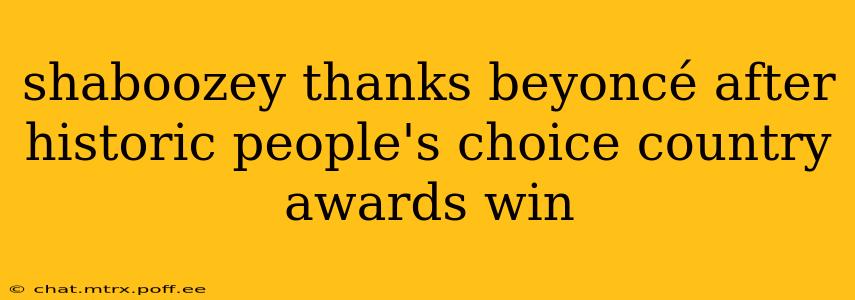 shaboozey thanks beyoncé after historic people's choice country awards win