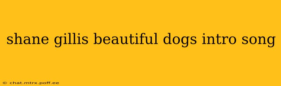shane gillis beautiful dogs intro song