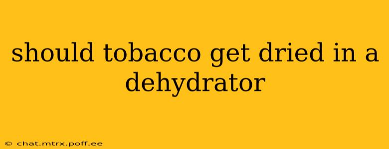 should tobacco get dried in a dehydrator