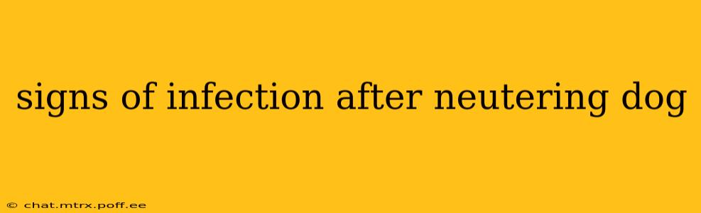 signs of infection after neutering dog