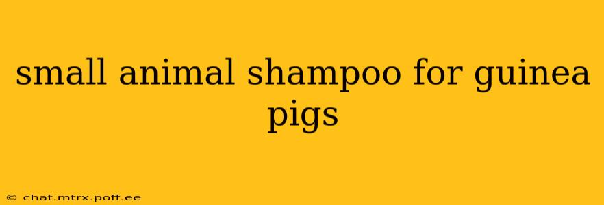 small animal shampoo for guinea pigs