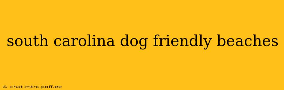 south carolina dog friendly beaches