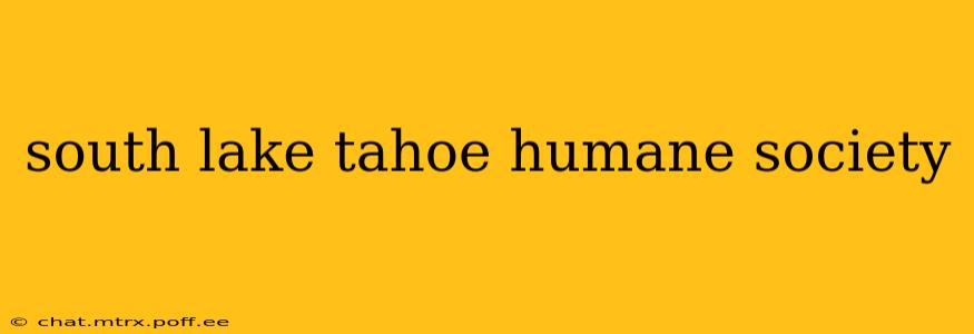 south lake tahoe humane society
