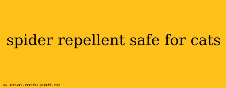 spider repellent safe for cats
