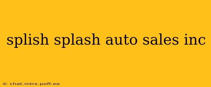 splish splash auto sales inc