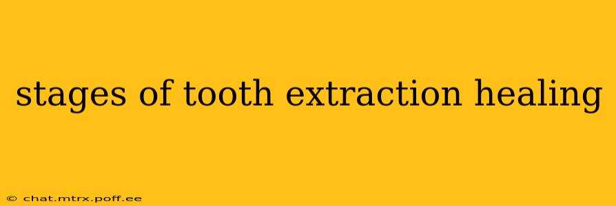stages of tooth extraction healing