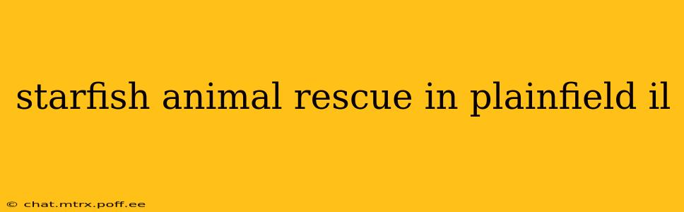 starfish animal rescue in plainfield il