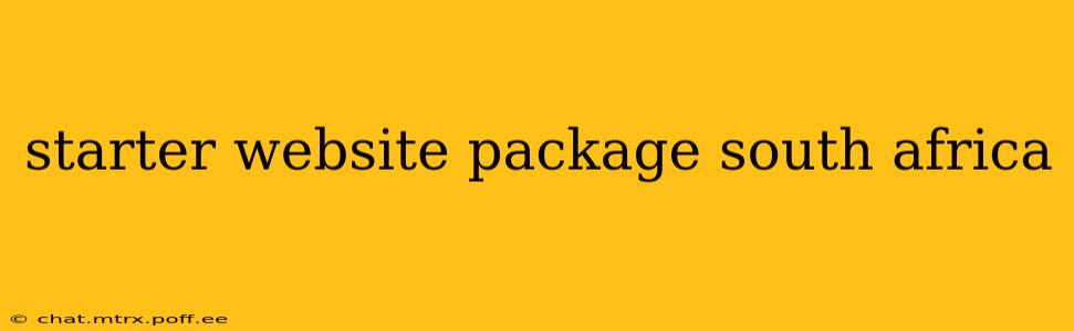 starter website package south africa