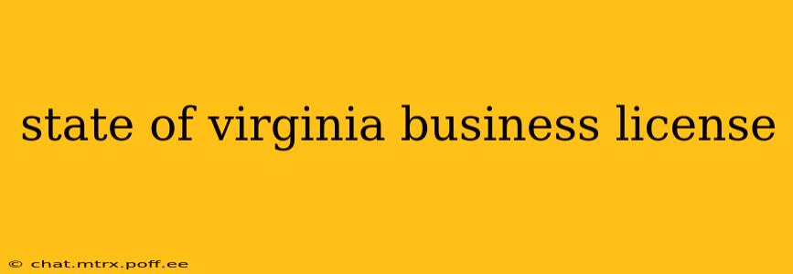 state of virginia business license