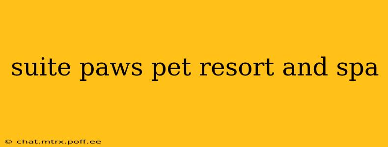 suite paws pet resort and spa