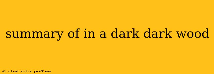 summary of in a dark dark wood