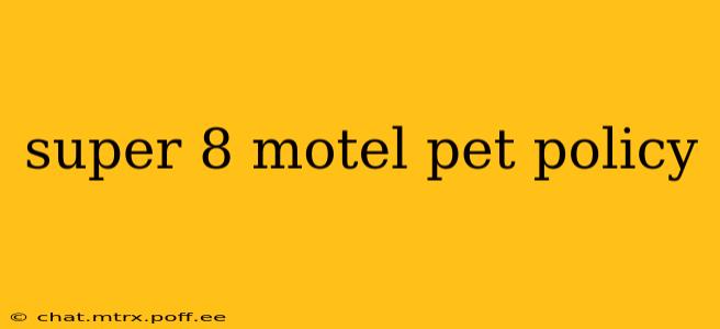 super 8 motel pet policy