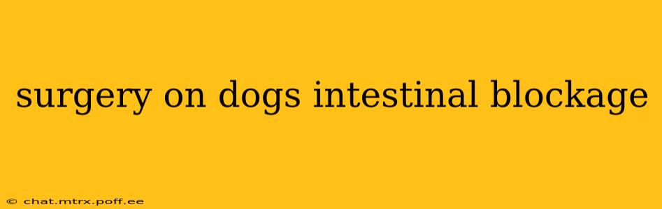 surgery on dogs intestinal blockage