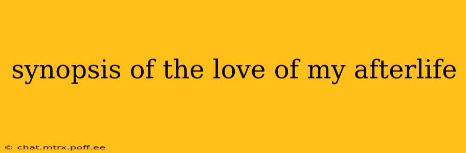 synopsis of the love of my afterlife