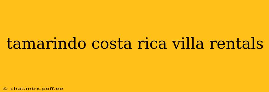 tamarindo costa rica villa rentals