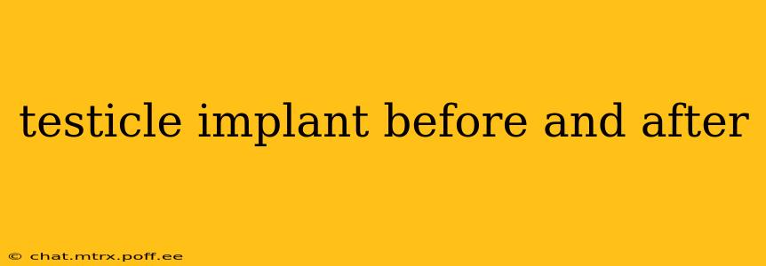 testicle implant before and after