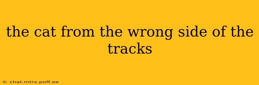 the cat from the wrong side of the tracks