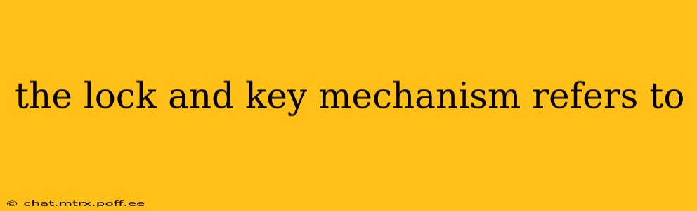 the lock and key mechanism refers to