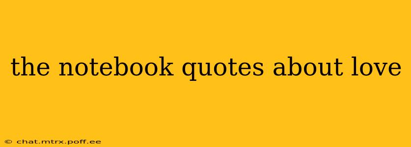 the notebook quotes about love