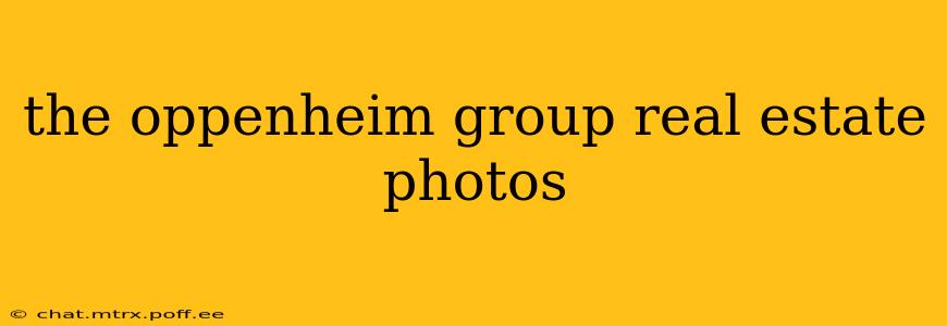 the oppenheim group real estate photos