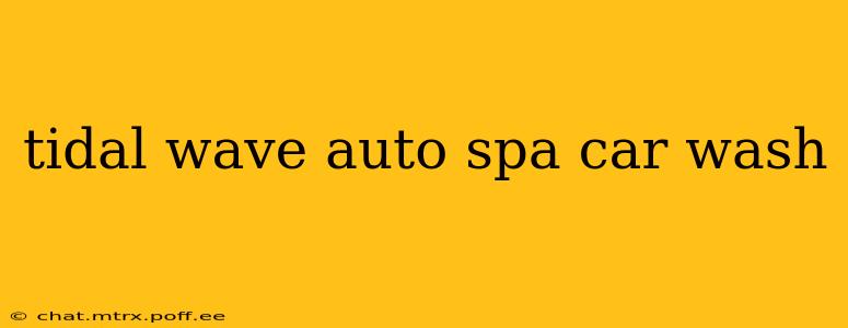 tidal wave auto spa car wash