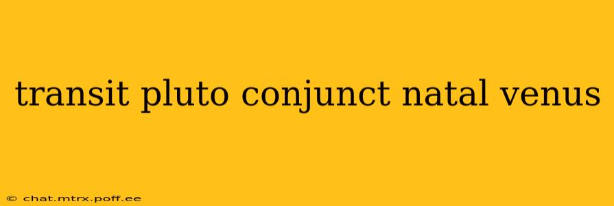 transit pluto conjunct natal venus