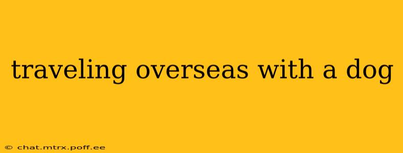 traveling overseas with a dog