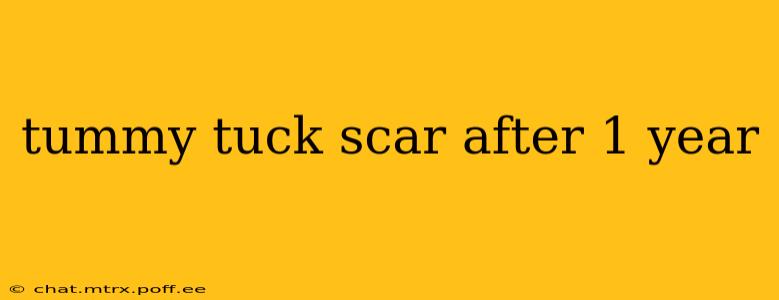 tummy tuck scar after 1 year