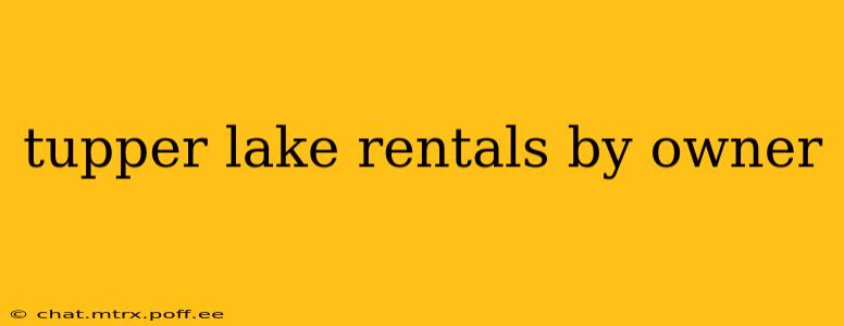 tupper lake rentals by owner