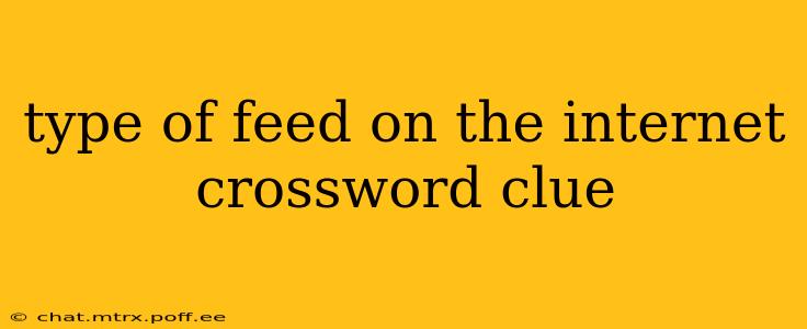 type of feed on the internet crossword clue