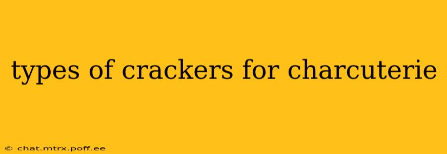 types of crackers for charcuterie