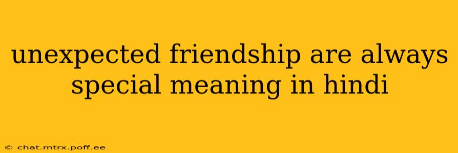 unexpected friendship are always special meaning in hindi