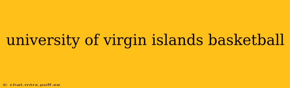 university of virgin islands basketball