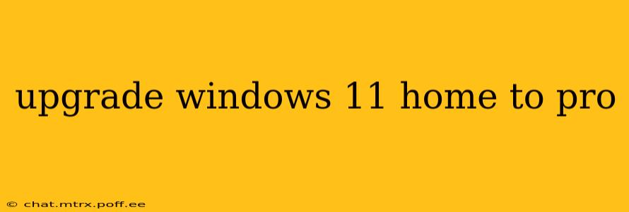 upgrade windows 11 home to pro